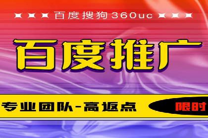 百度竞价推广在电商领域的赚钱案例